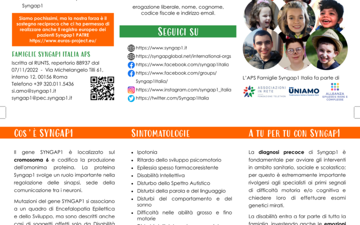 SynGap1